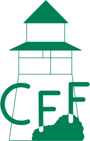 Logo Caro for Future